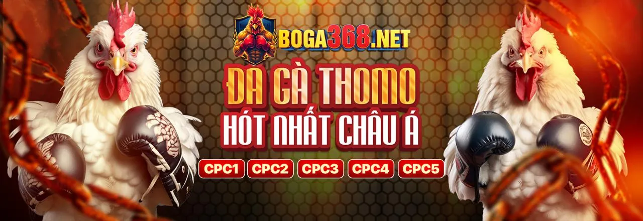 Đá gà trực tuyến 777king với các trận đấu kịch tính